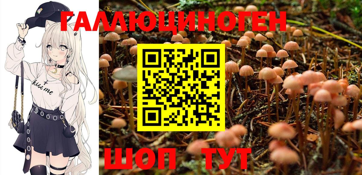 Вольск  Псилоцибиновые грибы MAGIC MUSHROOMS  Галлюциногенные грибы мухоморы  Вход с VPN 